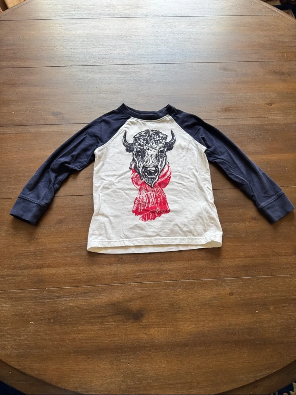 Four Gymboree cotton long sleeves tees S (5) Buffalo Bear Cat Basketball